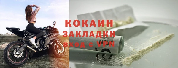 прущие крисы Пересвет