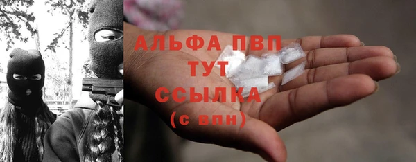 мдпв Пестово