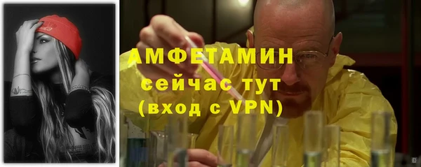 прущие крисы Пересвет
