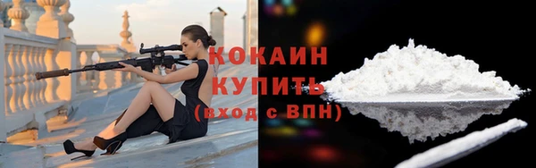 мдпв Пестово