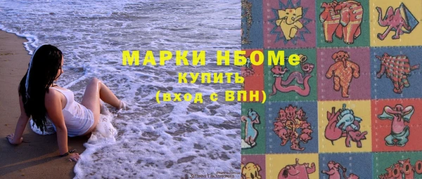 прущие грибы Осинники