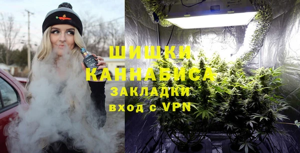 прущие крисы Пересвет
