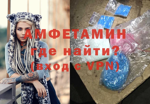прущие грибы Осинники