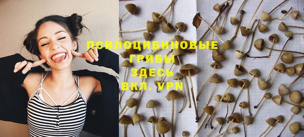 ALPHA PVP Осташков