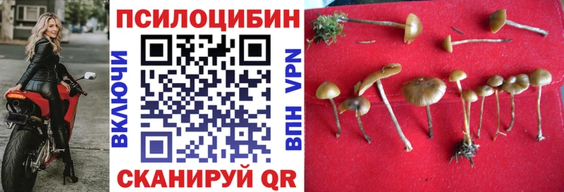 Псилоцибиновые грибы прущие грибы  дарк нет как зайти  Киселёвск  сколько стоит 